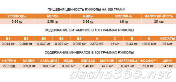 рукола1