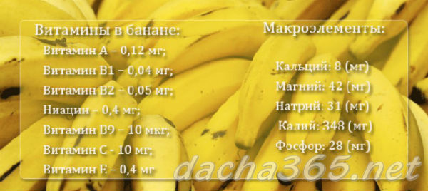бананы1