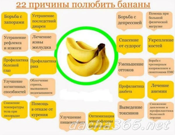 бананы2
