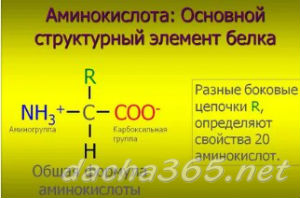 тыксем2