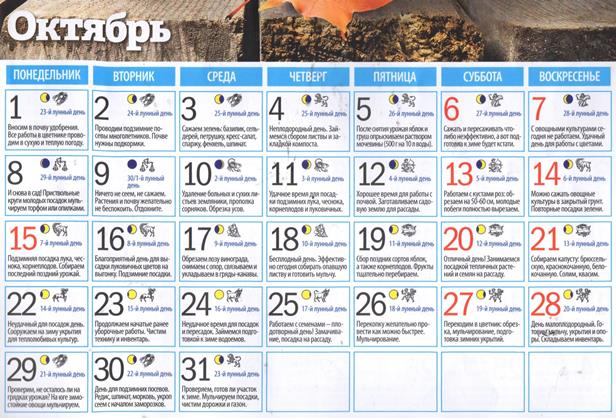 Lunnyy-kalendar-sadovoda-na-oktyabr-2018-god