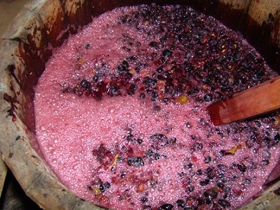 brozhenie-mezgi