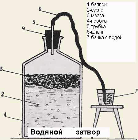 gidrozatvor-dlya-vinodeliya