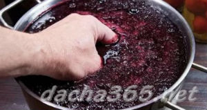 вино4