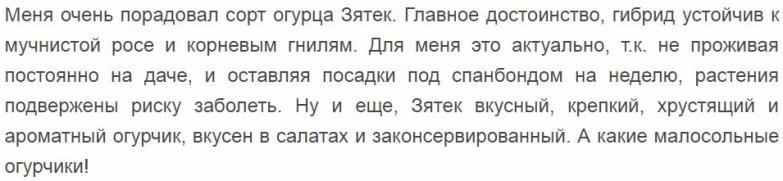 ogurets-zyatek-otzyv3