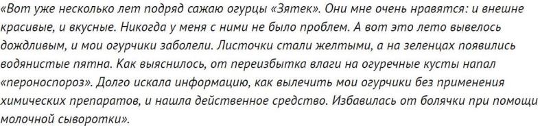 ogurets-zyatek-otzyv7