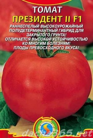 президент6