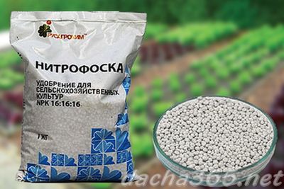 подкормка4