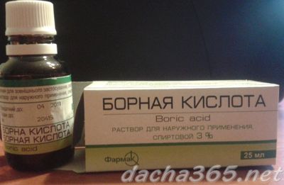 подкормка5