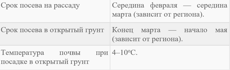 июньская4