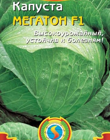 мегатон6